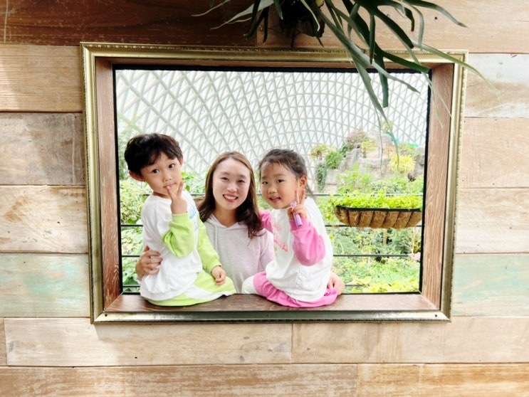  거제 아이와 가볼만한곳 추천 거제 식물원 정글돔 정글타워