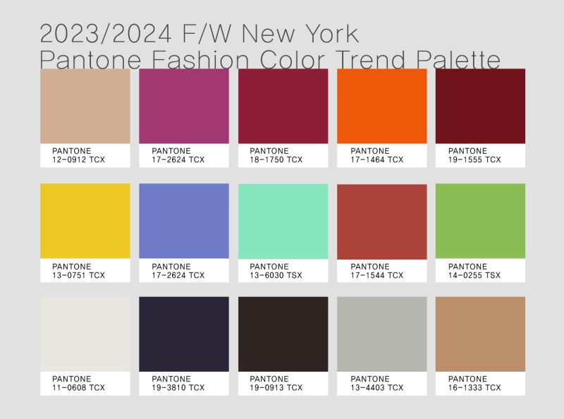 푸시아 팬톤 컬러