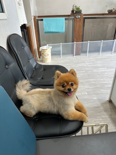 사진 2