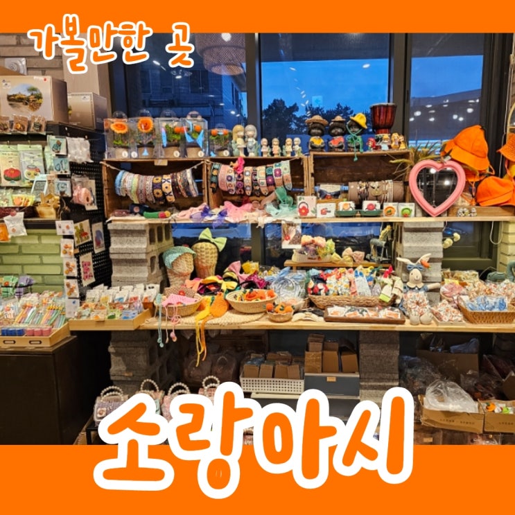  제주 서귀포 중문 저렴한 소품샵 소랑아시 시장보다 싸다