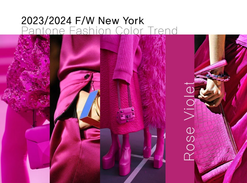 푸시아 팬톤 컬러