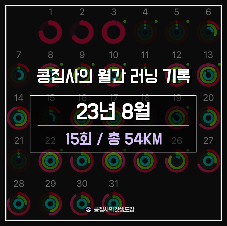  23년 8월 러닝입문자 한달 러닝기록 : 15회, 54KM (Feat.나이키런)