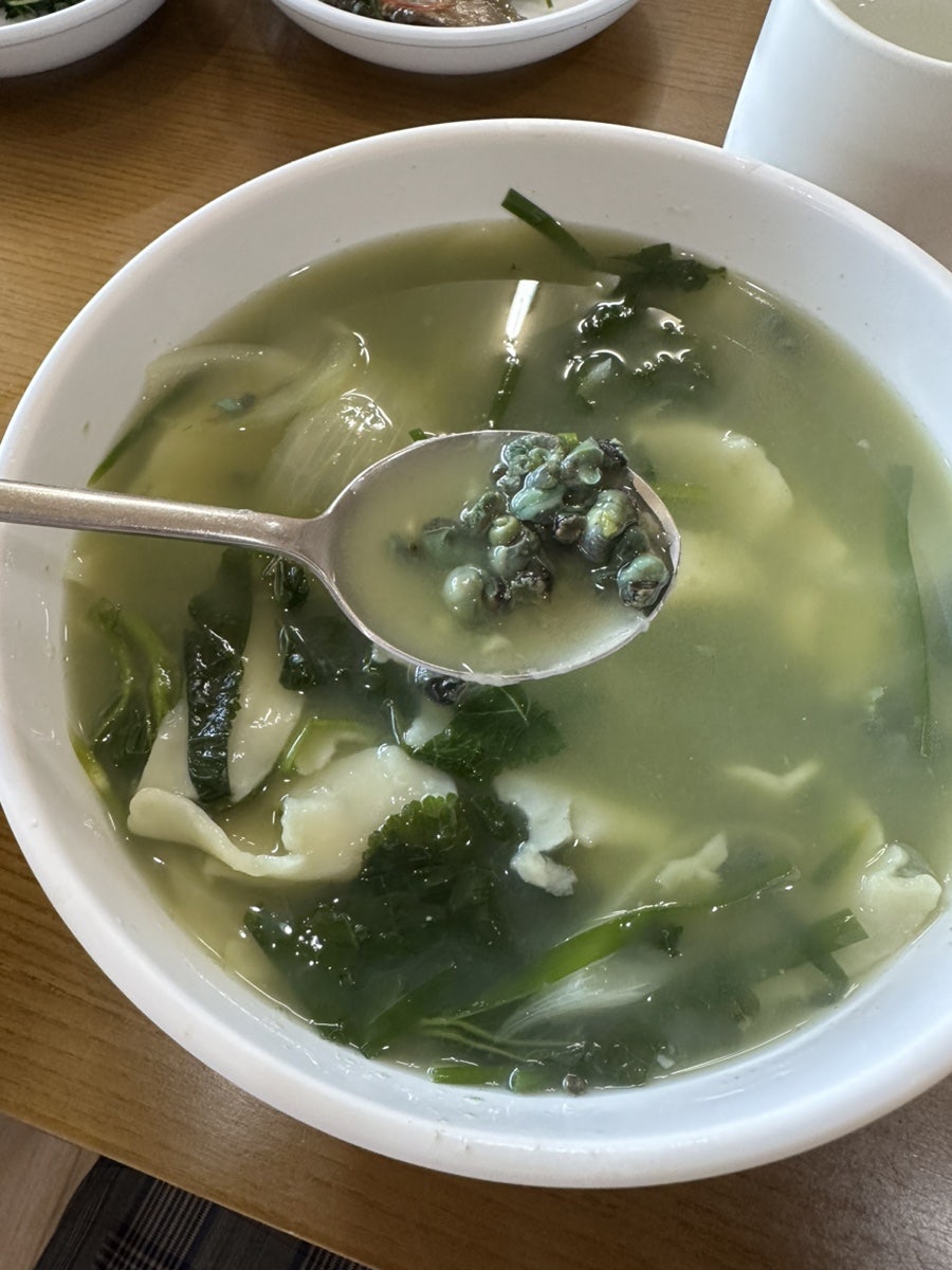 섬진강변민물고기 사진 6