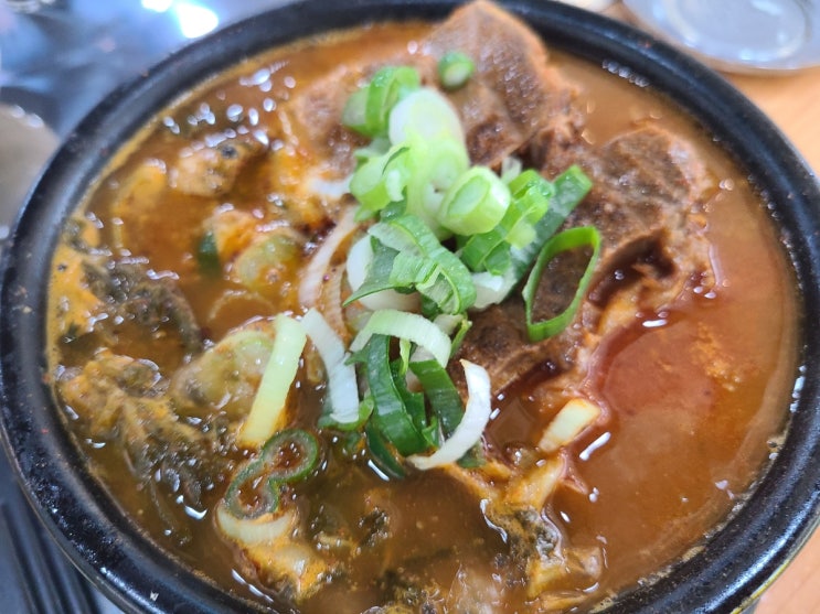  갤러리아백화점 인근 대전 서구 둔산동 맛집 양천뼈다귀 대전둔산점