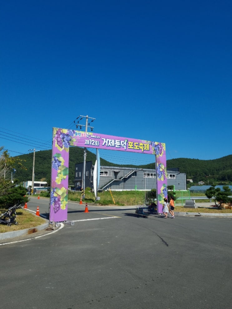  거제 둔덕포도축제 후기