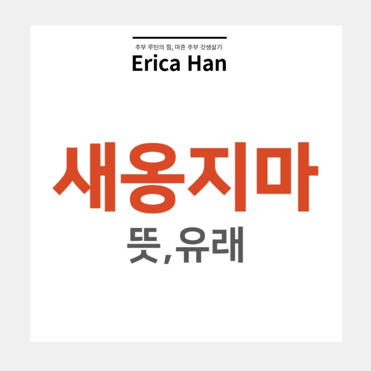  새옹지마 뜻 및 유래 인생의 길흉화복 위기 관련 한자 고사성어와 사자성어
