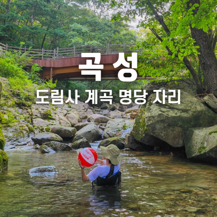  전남 곡성 도림사 계곡 명당 자리 정보