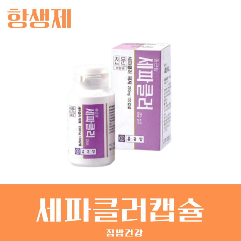 항생제 세파클러캡슐 효과 및 부작용 알아보기