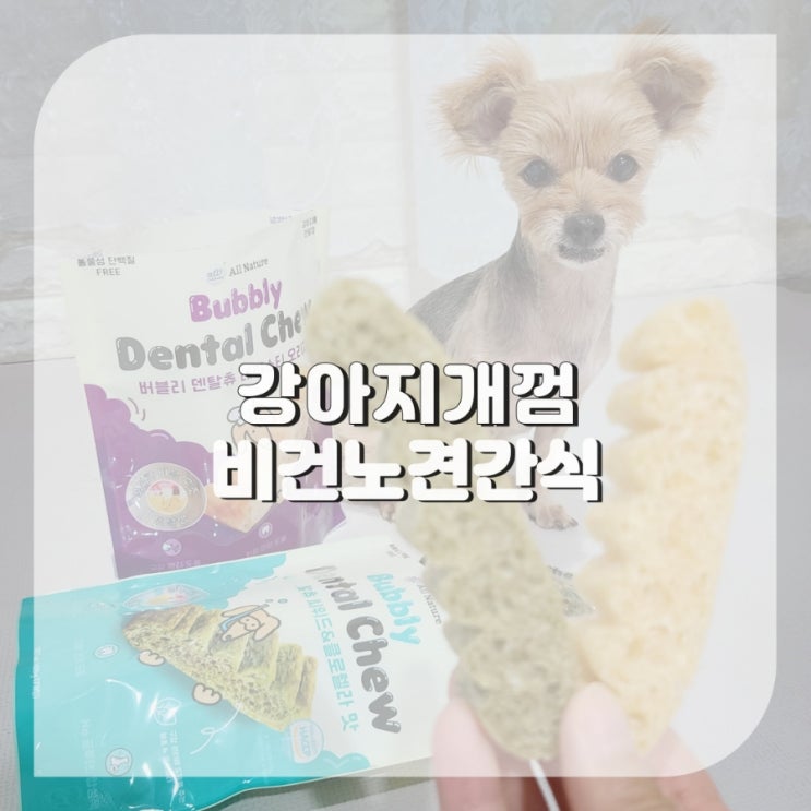  강아지 개껌 추천 입냄새 치석제거껌 비건노견간식덴탈츄