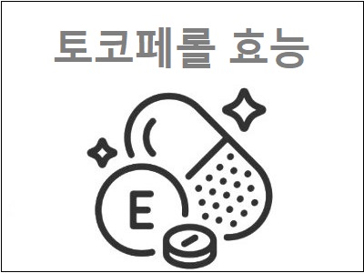  토코페롤효능 및 역할