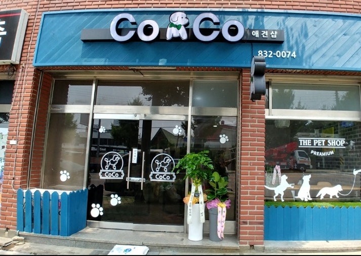 코코애견샵
