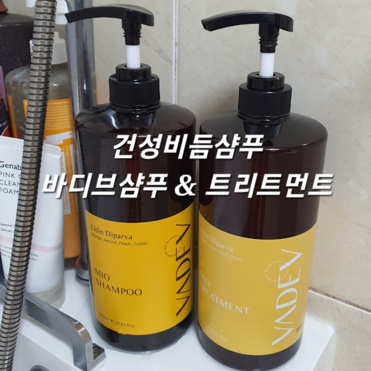  건성비듬샴푸 바디브 샴푸&트리트먼트로 가려움 안녕~:: 천연유래 약산성샴푸