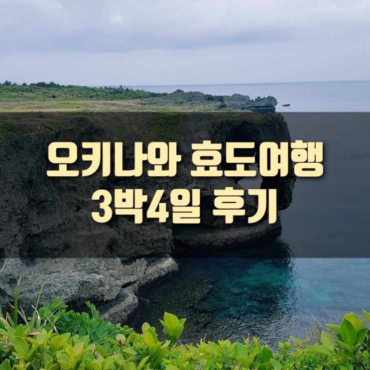  [여행] 오키나와 효도여행 3박4일 : 후기 & 유의사항