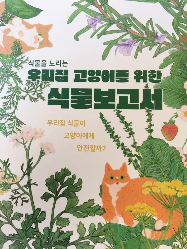  예쁜거+예쁜거. 고양이를 위한 식물보고서(춘하식). 고양이 그림책