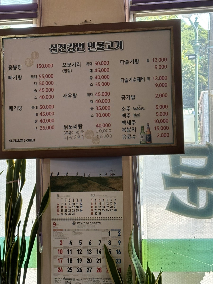 섬진강변민물고기 사진 4
