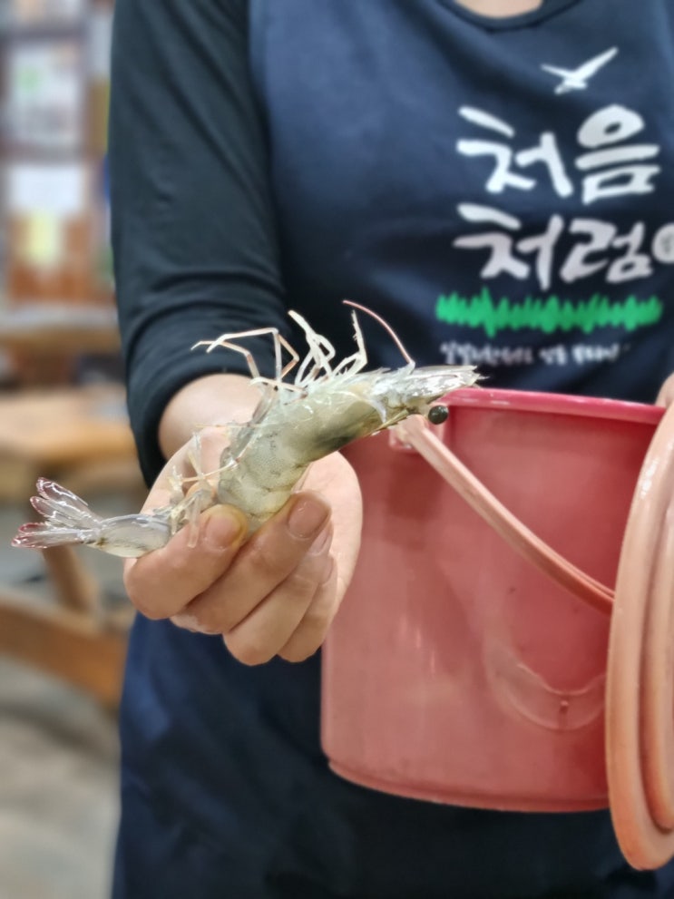  [제부도 여행] 민박 패키지가 가능한 제부도 찐 맛집 대하횟집. (Feat: 제부도 물때 시간표)