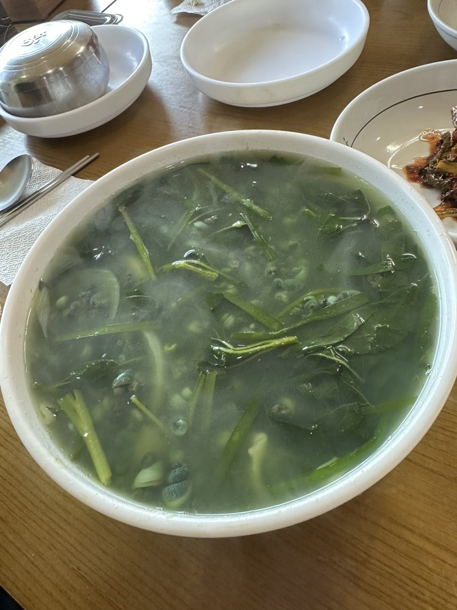 섬진강변민물고기 사진 5