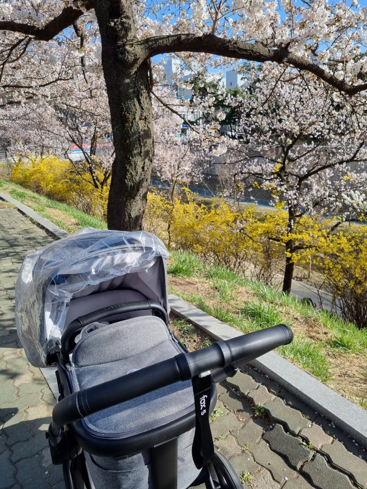  아기와 함께 하는 지난 4월 - 복직 그리고 부가부 폭스5