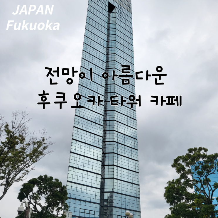  전망이 아름다운 후쿠오카 타워 카페 솔직 후기