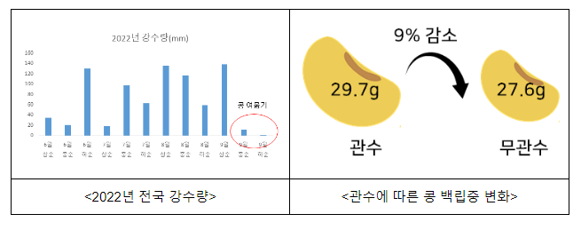 콩알 여무는 시기, 콩 재배·병해충 관리는 이렇게 콩알 여무는 시기, 콩 재배·병해충 관리는 이렇게