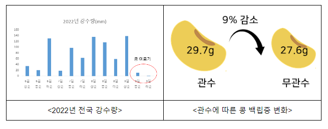 콩알 여무는 시기, 콩 재배·병해충 관리는 이렇게