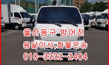 울산동구용달 방어진 정자 양남 양북 감포 모화 울릉도 화물.