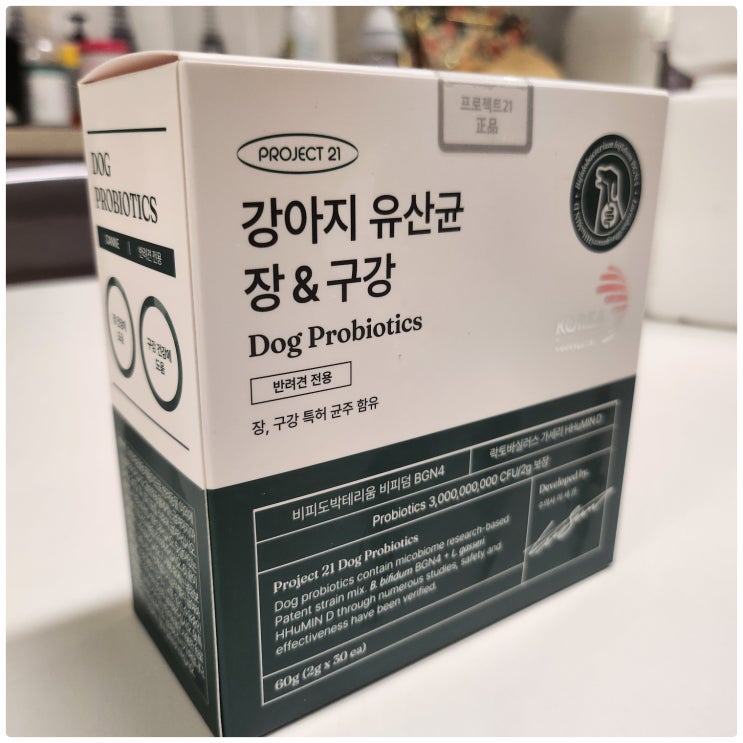 Dog Probiotics 프로젝트 21 유산균 추천 강아지 장 & 구강 건강을 위한 영양제