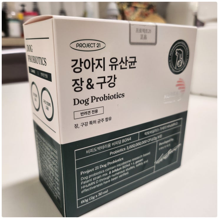  Dog Probiotics 프로젝트 21 유산균 추천 강아지 장 & 구강 건강을 위한 영양제