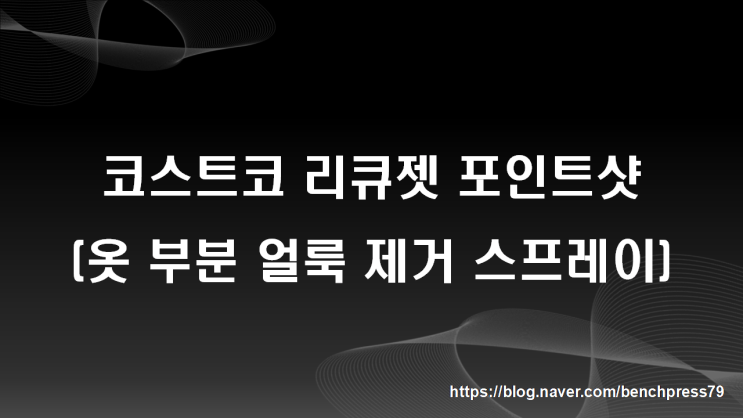  옷 부분 얼룩 제거제(리뷰젯 포인트 샷)