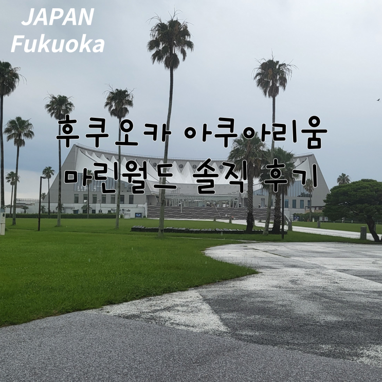  후쿠오카 아쿠아리움 마린월드 우미노나카미치 솔직 후기