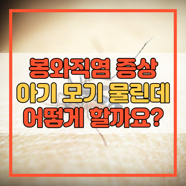  봉와직염 증상 아기 모기 물린데 어떻게 할까요?