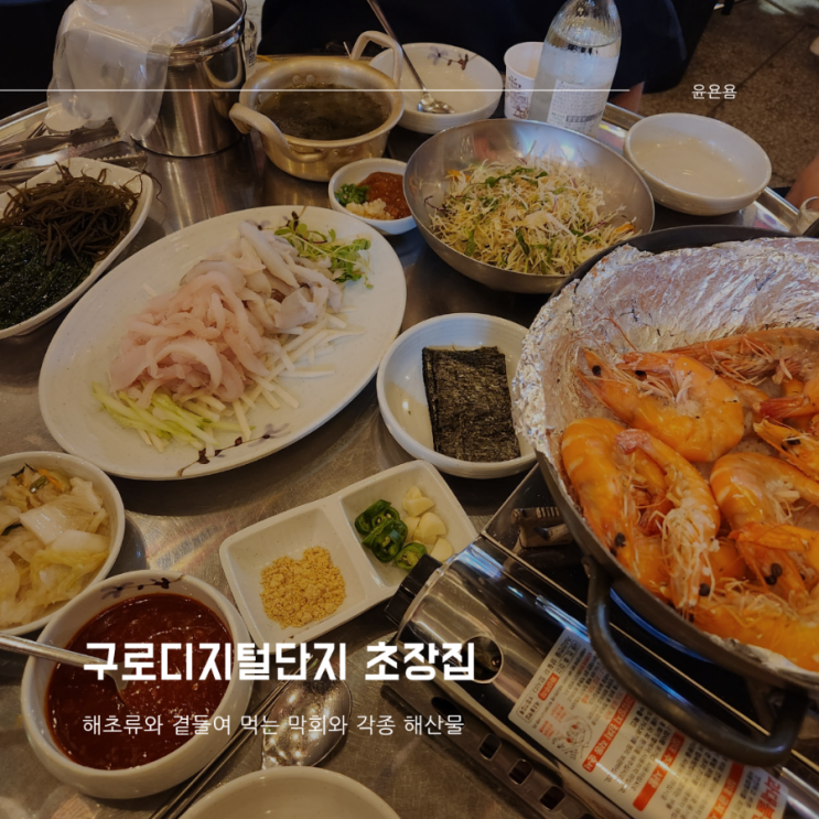  구로디지털단지 맛집 초장집 막회 새우구이