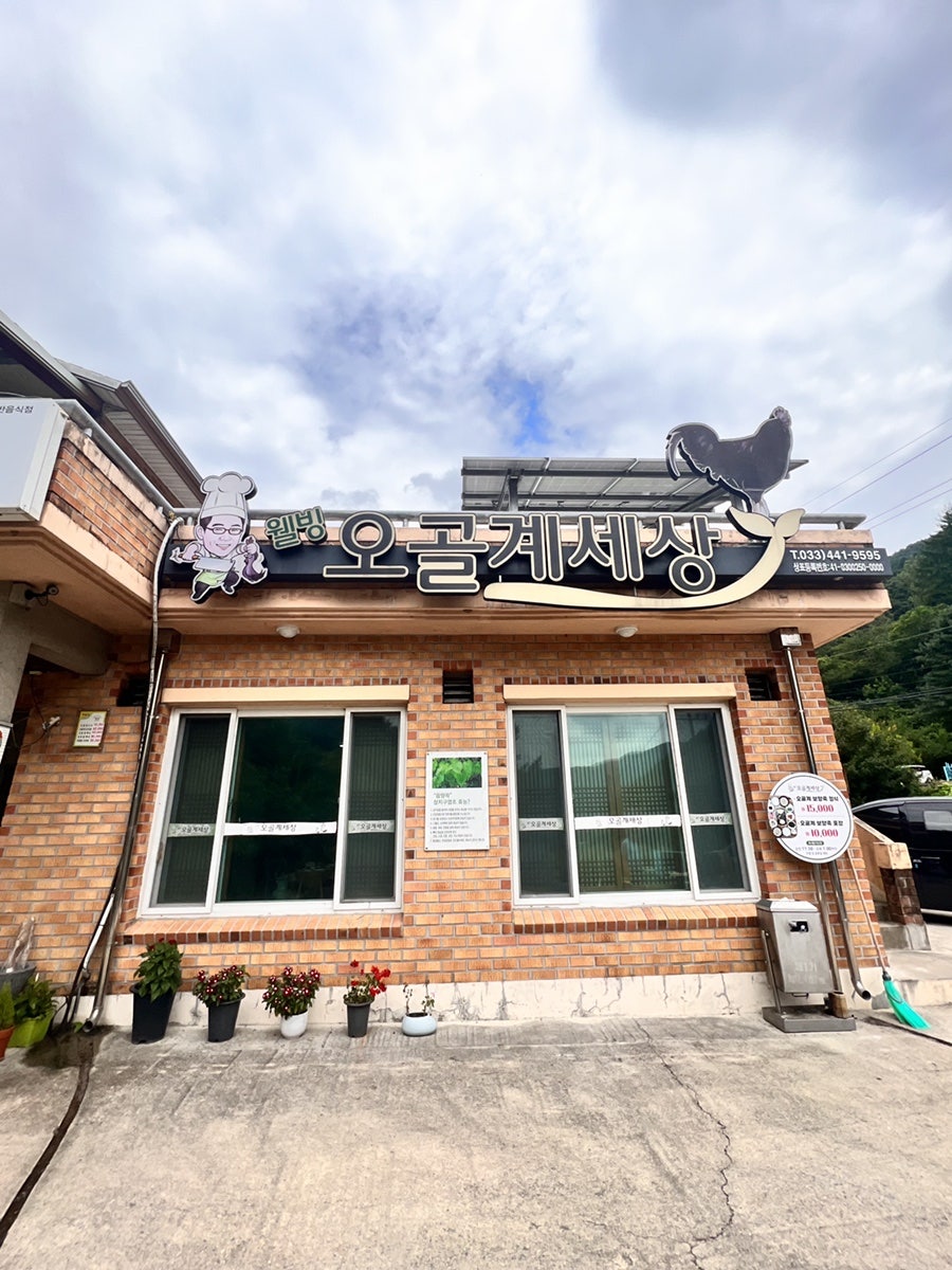 웰빙오골계세상 사진 2