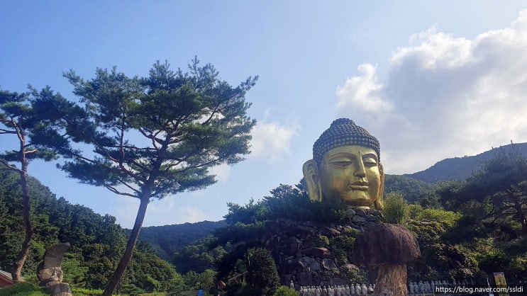 용인 와우정사, 당일치기 나들이 다녀왔네요