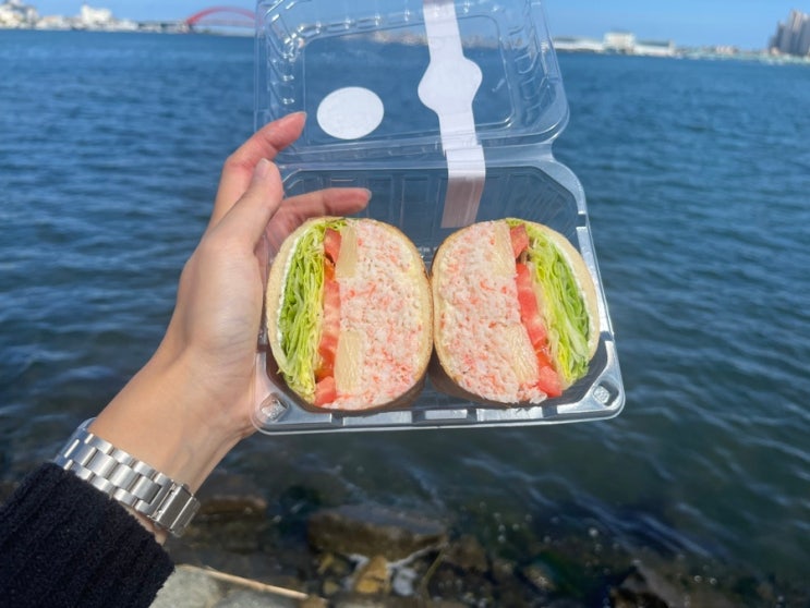  [속초맛집] 속초751샌드위치 홍게 대존맛 _내돈내산