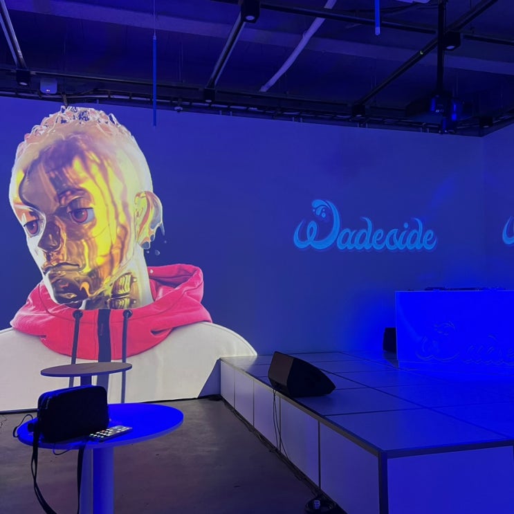 예?제가 왜 당첨 | 번개장터 X WADESIDE in SEOUL VIP 후기