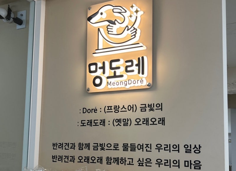 사진 5
