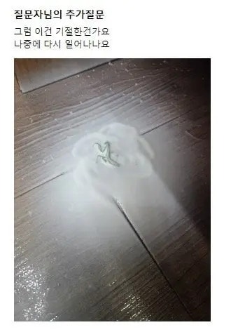 사마귀 에프킬라로 죽나요?