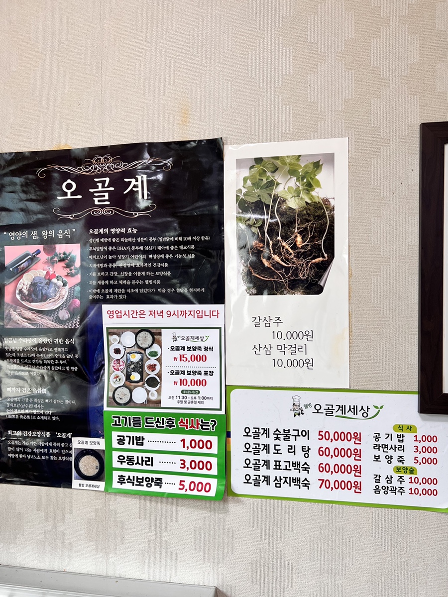 웰빙오골계세상 사진 6