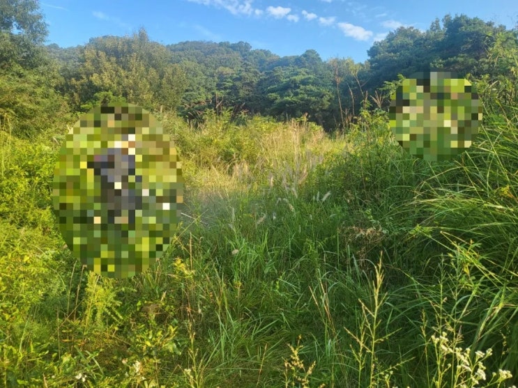  2023년 김천시 남면 봉천리 혁신도시 묘 8기 벌초 고인돌장묘개발장의사 #선산벌초 #구미벌초 #황간벌초 #영동벌초 #성주벌초 #상주벌초 #문경벌초 #칠곡벌초 #벌초대행