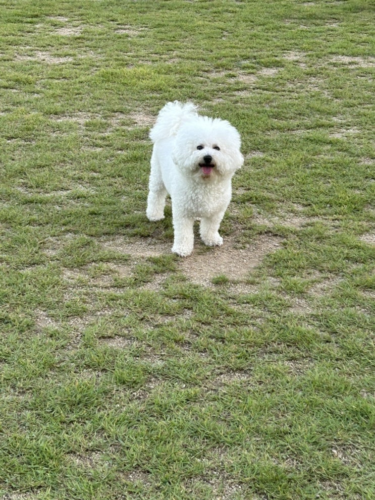  먹go 걷go