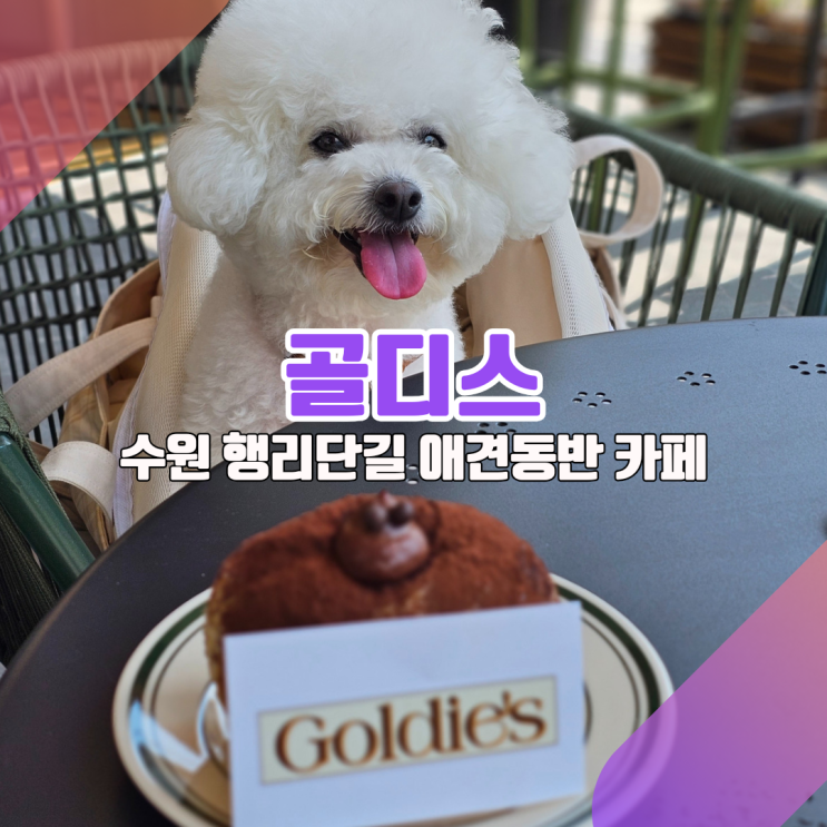  행리단길을 파리로 바꾼 신상카페, 골디스