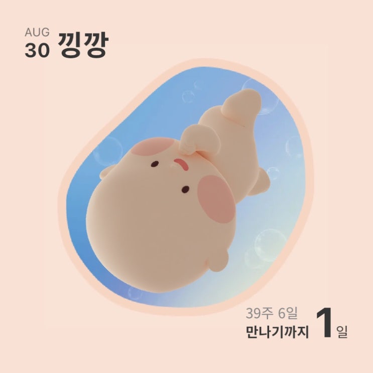  언제 나올지모른다 (35주-40주)