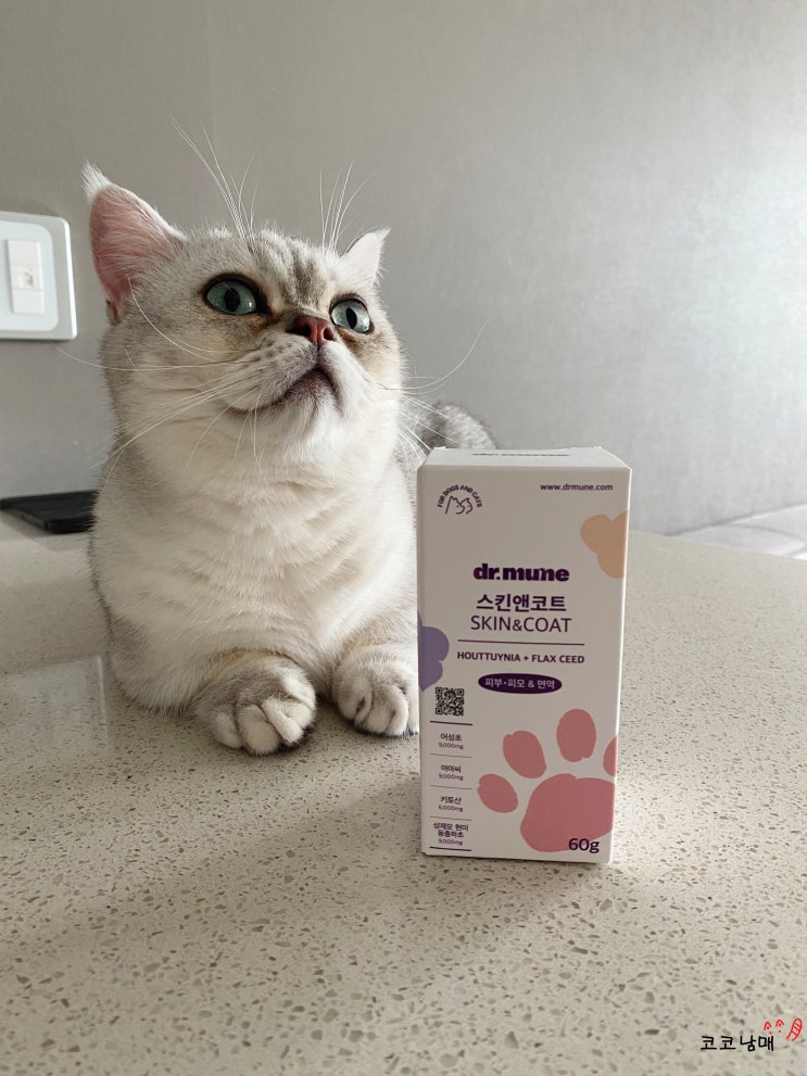  닥터뮨 스킨앤코 dr.mune skin&coat / 고양이 피부 관리 영양 / 피부 염증,  털빠짐,  윤기에 도움을 줄 수 있는 영양제