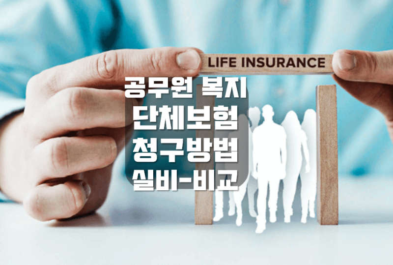 공무원 맞춤형 복지 단체 보험 청구방법 개인실비가입시기 공무원복지포털 퇴직자단체보험 ....