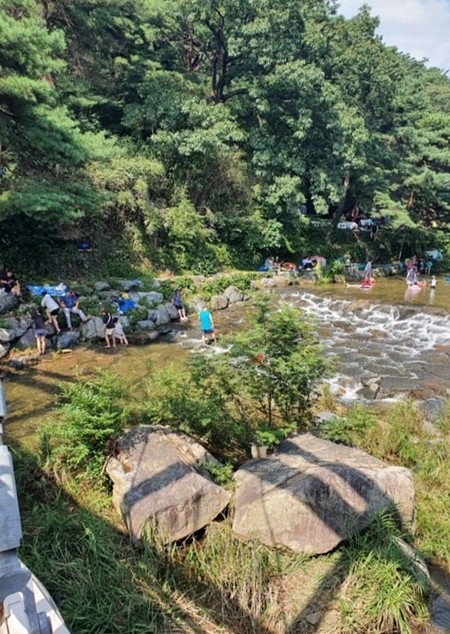  안양예술공원 염소전골 맛집 싸리골 능이백숙흑염소