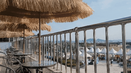  경기도 오이도여행 애견동반 전망좋은 테라스카페추천 [블루웨이브커피] 내돈내산 솔직후기
