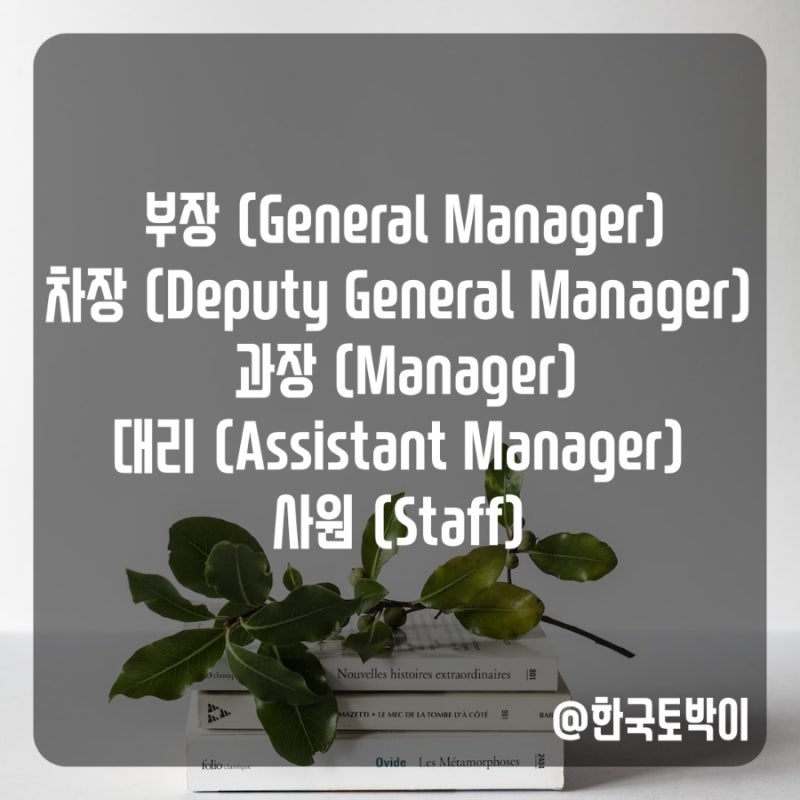 직책 직급 영어표현 (상무 대리 과장 차장 부장 팀장 영어로) : 네이버 블로그