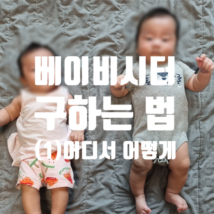  쌍둥이 시터 구하기 (1) 베이비시터 어플 비교 : 시터넷, 당근, 맘시터 이용팁