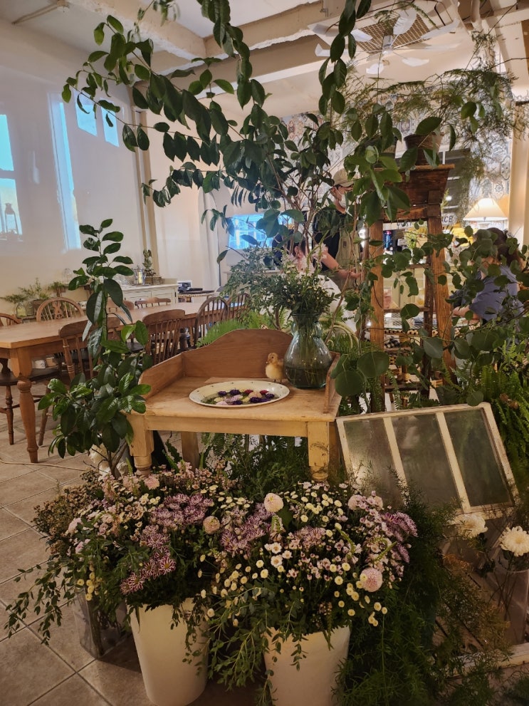  안락동 온천천 카페 "꼼시꼼사 온천천"